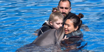 Delfintherapie in der Türkei – Ein Hoffnungsschimmer für unsere Kinder